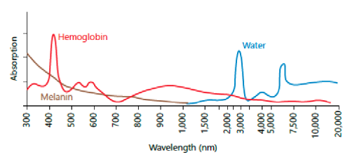 Image-Horizons-Optical