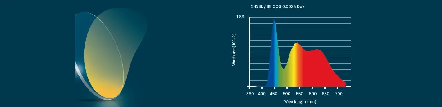 Digital - Blue blocker