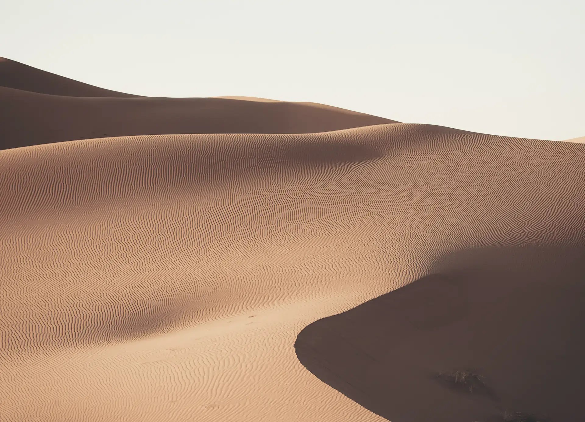 Eyecare Coatings - Horizons Optical