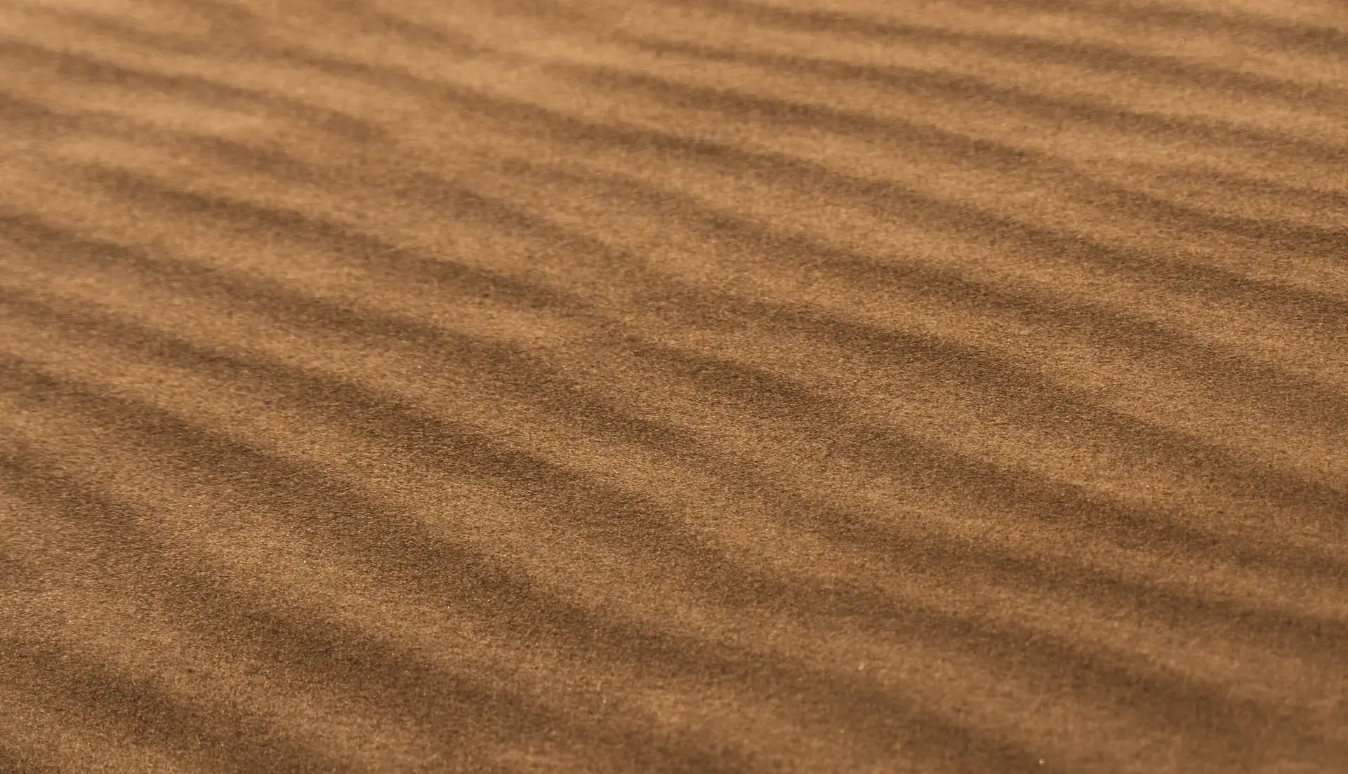 Sun Coatings - Horizons Optical