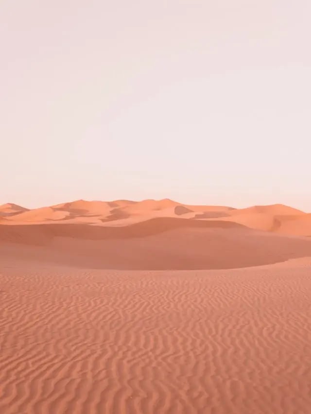 Horizons Optical - mimesys office with VR