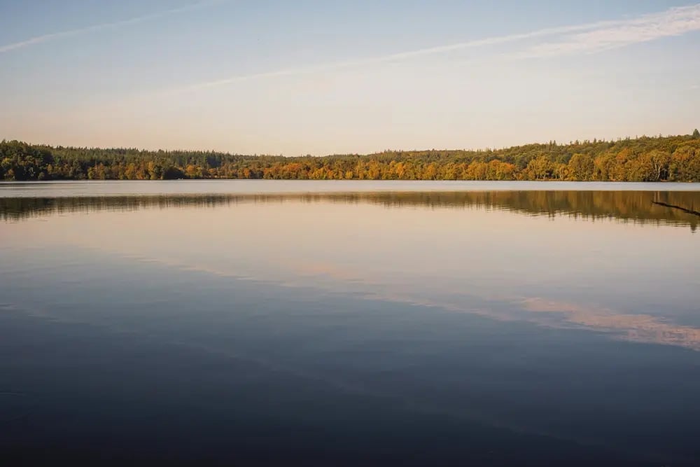 Horizons Optical - Single Vision Lens